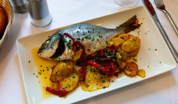 Grilled gilthead bream dorada served at plate with garnish — Stock Photo, Image