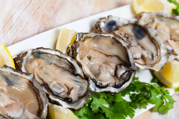 Fisk och skaldjur förrätt färska ostron med citron och persilja på vit platta — Stockfoto