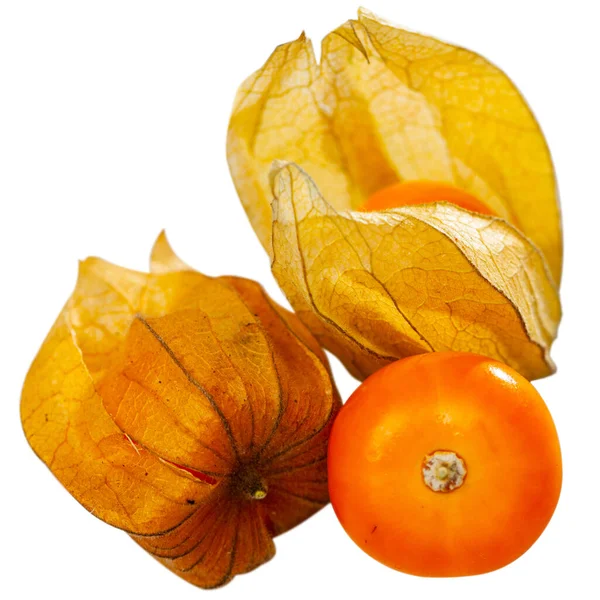 Physalis peruviana frutos maduros sobre blanco — Foto de Stock