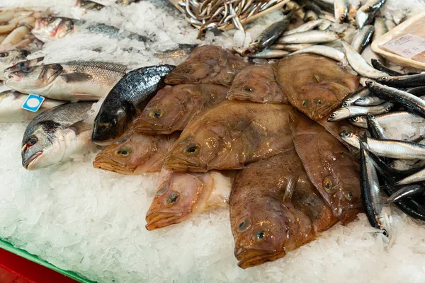 Fresh flounder fish on ice in shop — Stock Photo, Image