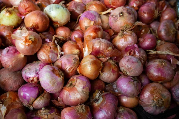 Pile of different onion varieties on market counter — Stock Photo, Image