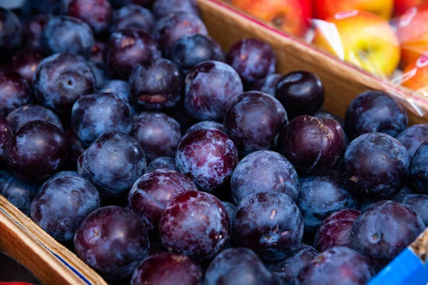 Montón de ciruelas azules maduras en el mostrador del mercado — Foto de Stock