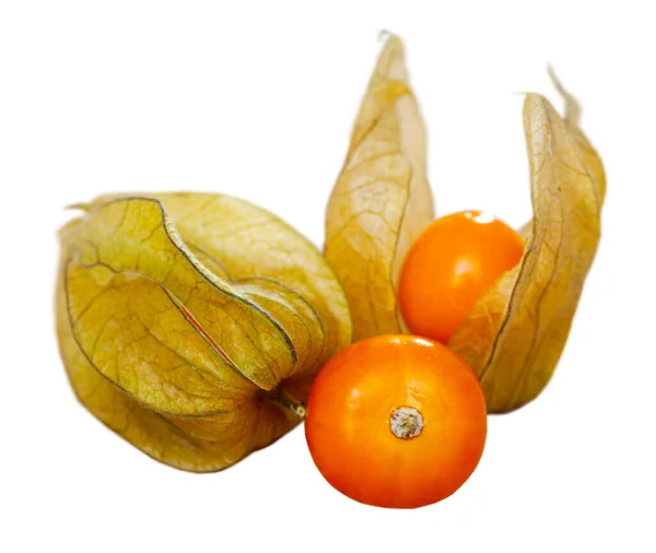 Orangencape Stachelbeeren Früchte — Stockfoto