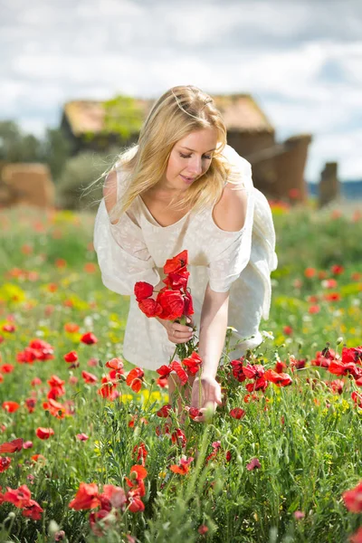 Beautiful young female in white dress holding bouquet of poppy flowers — Stock Photo, Image