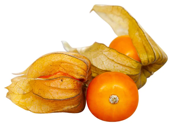 Reife peruanische Physalis-Früchte — Stockfoto