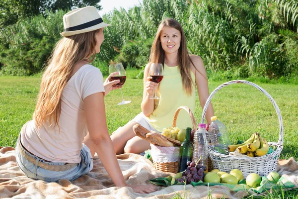 Meisje genieten van gesprek met haar vriend op picknick buiten — Stockfoto