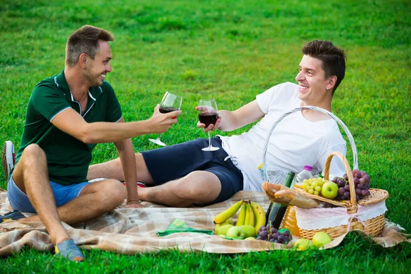 Mannetjes die wijn drinken op de picknick — Stockfoto