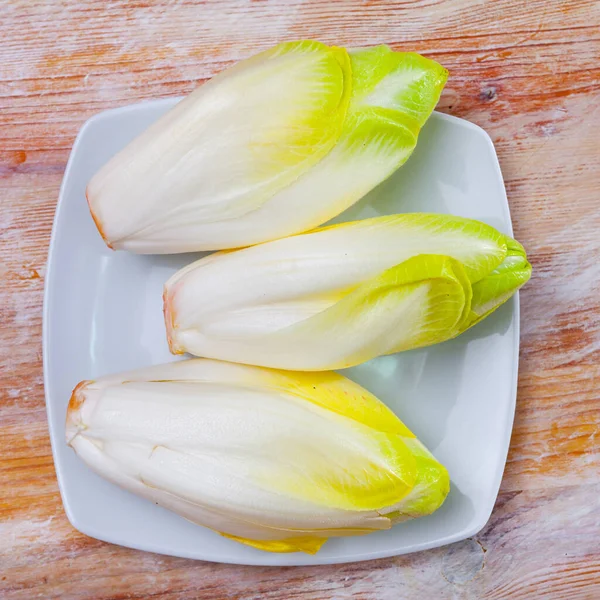 Head of belgian endive chicory on wooden table — Stock Photo, Image