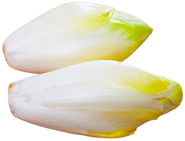 Obrázek čerstvého syrového endivie na bílém — Stock fotografie