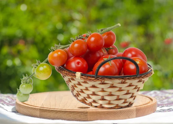 篮子里的西红柿散景背景 — 图库照片