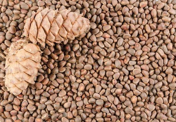 heap of pine nut and cone on white background