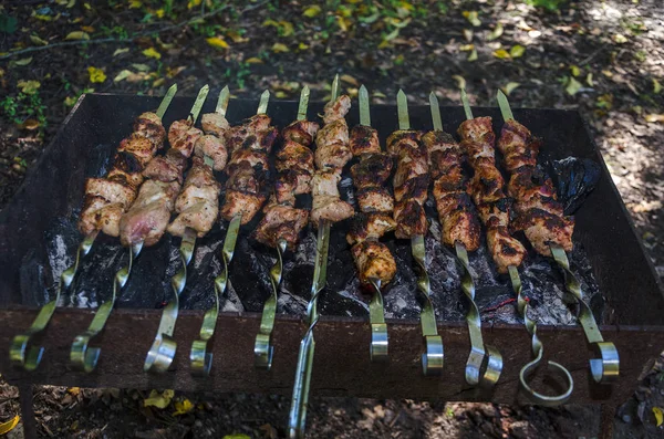 Barbacoa Picnic Otoño —  Fotos de Stock