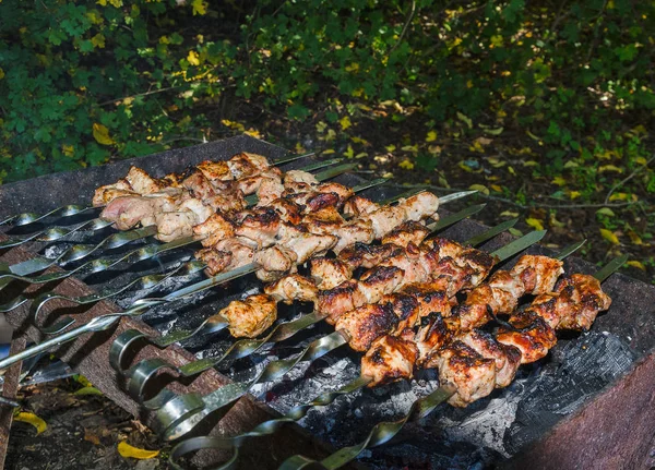 Barbacoa Picnic Otoño —  Fotos de Stock