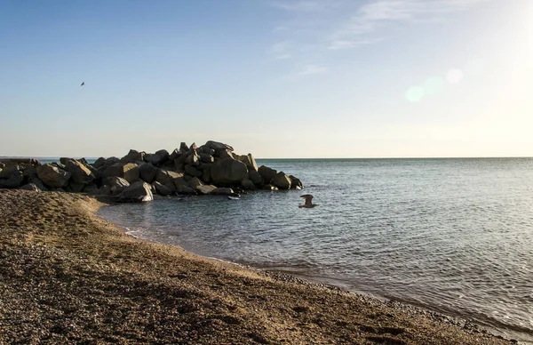 Havet Och Stranden Solnedgången — Stockfoto