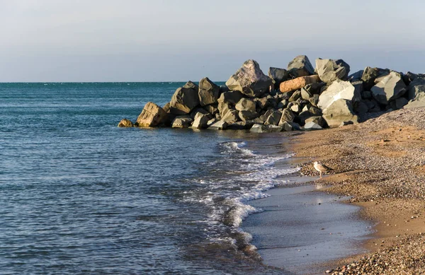 Havet Och Stranden Solnedgången — Stockfoto