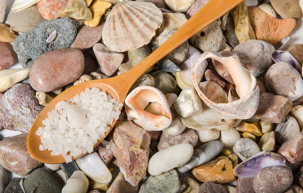 Salt Wooden Spoon Sea Pebbles Shell — Stock Photo, Image