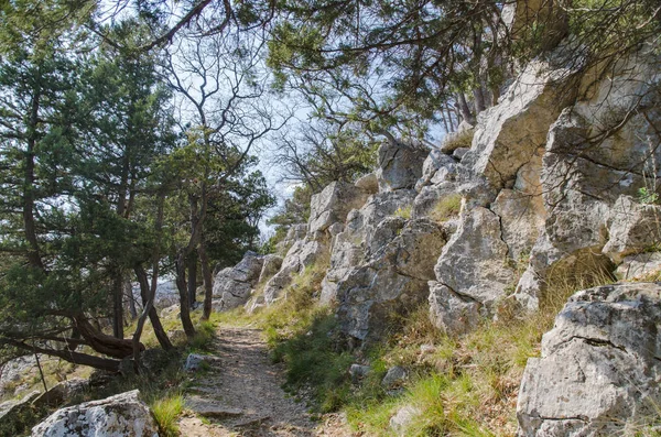 Chemin en montagne — Photo