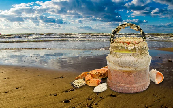 Plastica ricoperta di conchiglie sulla costa — Foto Stock