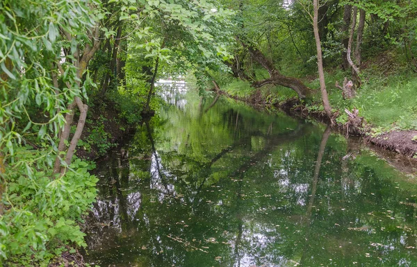 静静的河面，在森林里 — 图库照片