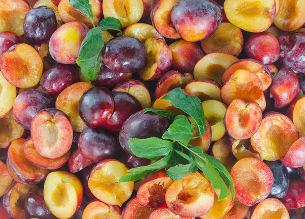 Moitiés de fruits mûrs de prune — Photo