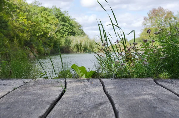 Деревянный пирс в озере — стоковое фото