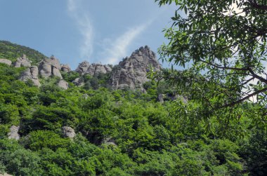 Dağlarda, ağaçlar, sütunlar... 