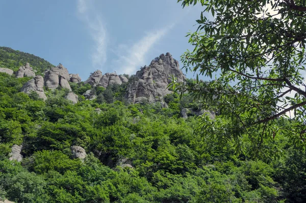 Дерево и колонны в горах — стоковое фото