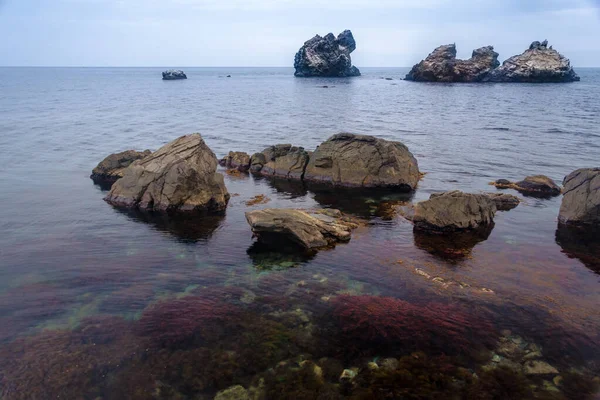 Paesaggio con scogliere costiere e alghe — Foto Stock