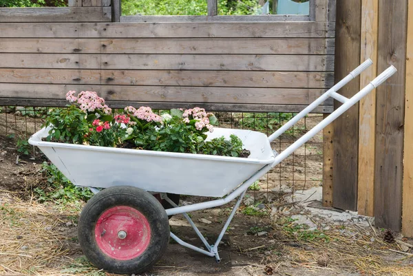 Vit trädgårdsvagn med blommor — Stockfoto