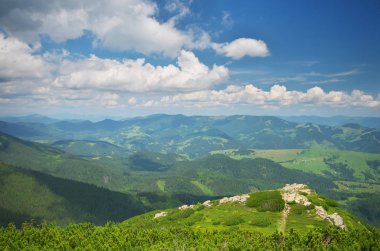 Dağ yaz manzarası. Doğanın kompozisyon.