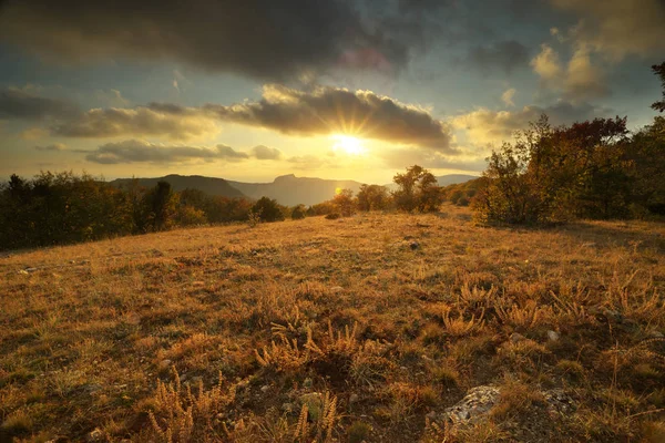 Autumn Sunset Forest Nature Composition — Stock Photo, Image