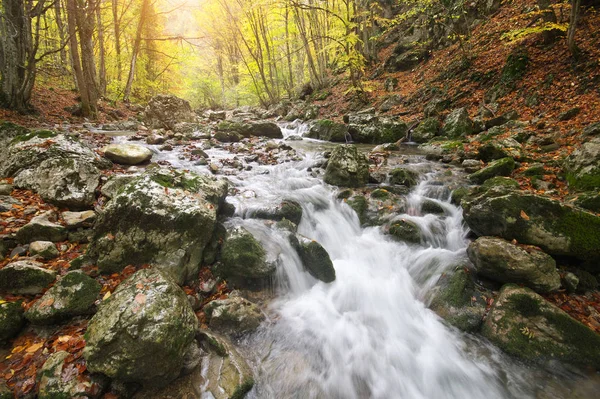 秋の風景です 自然の組成物 峡谷の川 — ストック写真