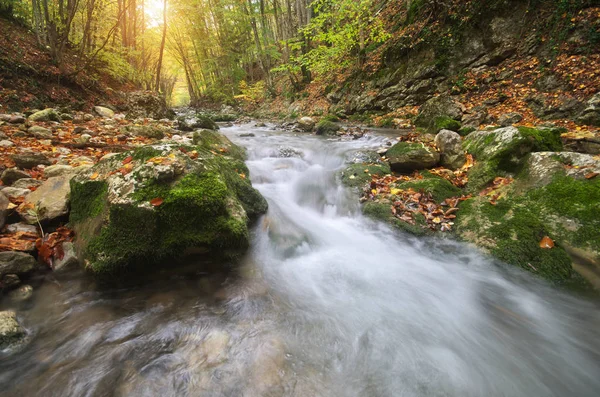 Autumn Landscape Composition Nature River Canyon — Stock Photo, Image