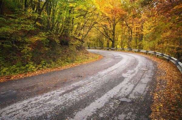 秋の木の道 自然の組成 — ストック写真