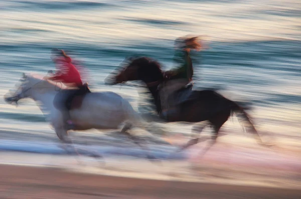 Лошадь Движется Морю Скорость Движения — стоковое фото
