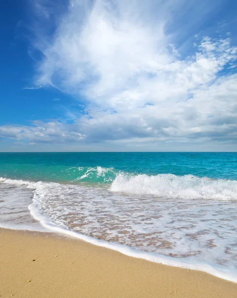 Лето Морском Пляже Элемент Дизайна — стоковое фото
