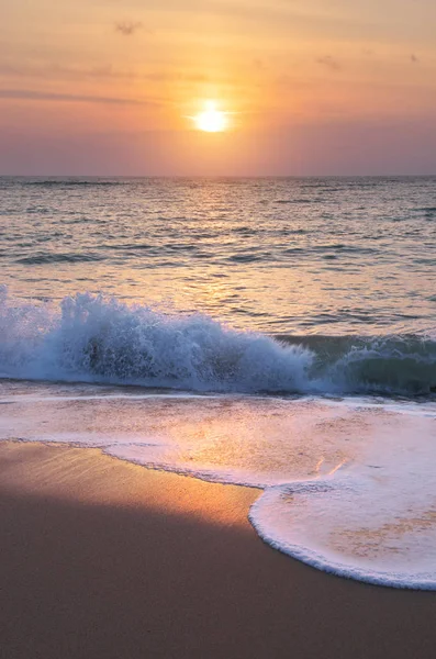 Été Sur Plage Mer Élément Conception — Photo