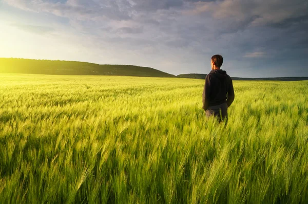 Uomo Nel Prato Prato Prato Verde Grano Scena Concettuale — Foto Stock