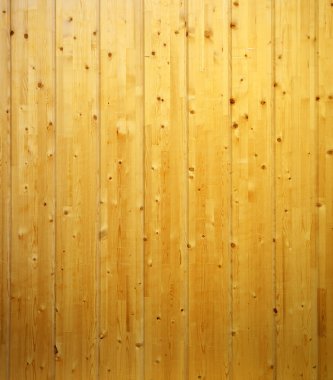 Ahşap doğa doku. Tasarım öğesi.