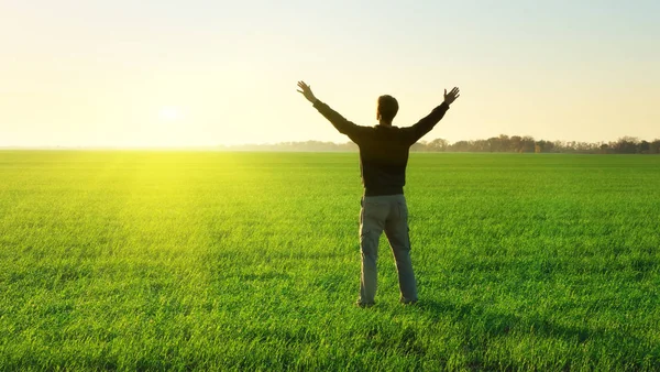 Uomo Nel Prato Verde Alzi Mani Scena Emotiva — Foto Stock