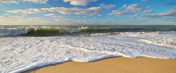 Wunderschöne Strandlandschaft Sommer Natur Komposition — Stockfoto