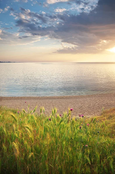 Sundown Seascape Composition Sky Sea Green Grass — Stock Photo, Image