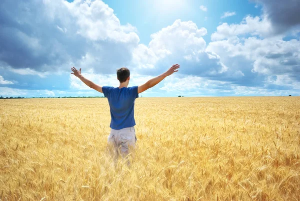 Чоловік Насолоджується Жовтим Пшеничним Лугом Концептуальний Дизайн — стокове фото