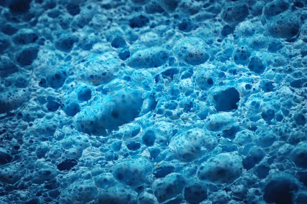 Macro Textura Biológica Elemento Diseño Celda Fondo Azul — Foto de Stock