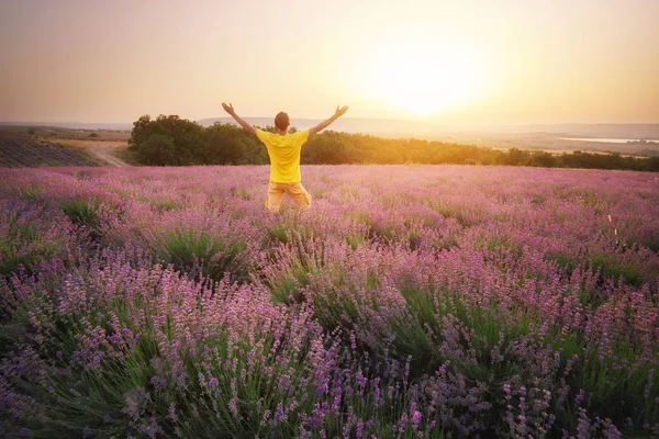 Mannen Ängen Lavendel Vid Solnedgången Emotionell Scen — Stockfoto