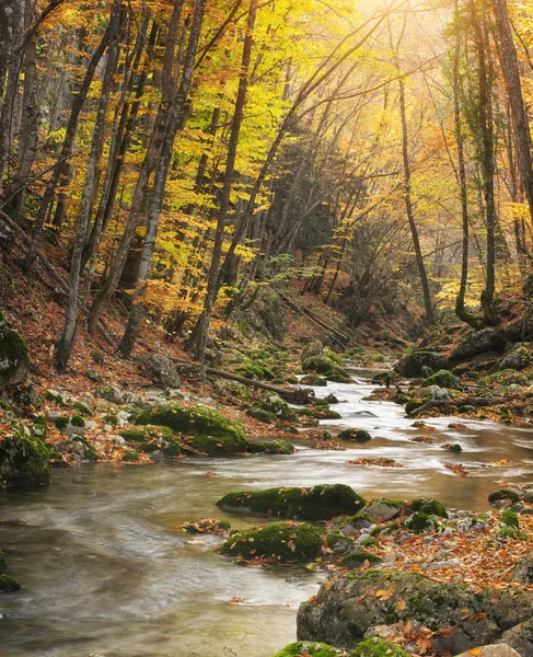 Paisagem Outono Composição Natureza Rio Desfiladeiro — Fotografia de Stock