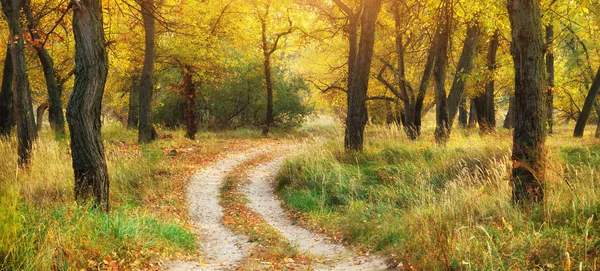 Höstlandskap Sammansättningen Naturen — Stockfoto