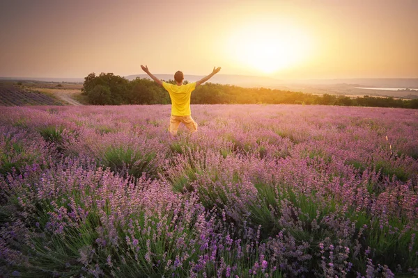 Man Meadow Lavender Sunset Emotional Scene — Stock Photo, Image
