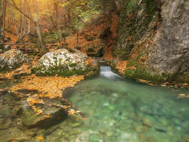 Sonbahar rill akışı. Doğa Şelale kompozisyon.