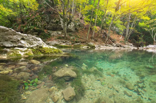 Lago Floresta Composição Natural — Fotografia de Stock